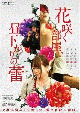 飞屋环游记